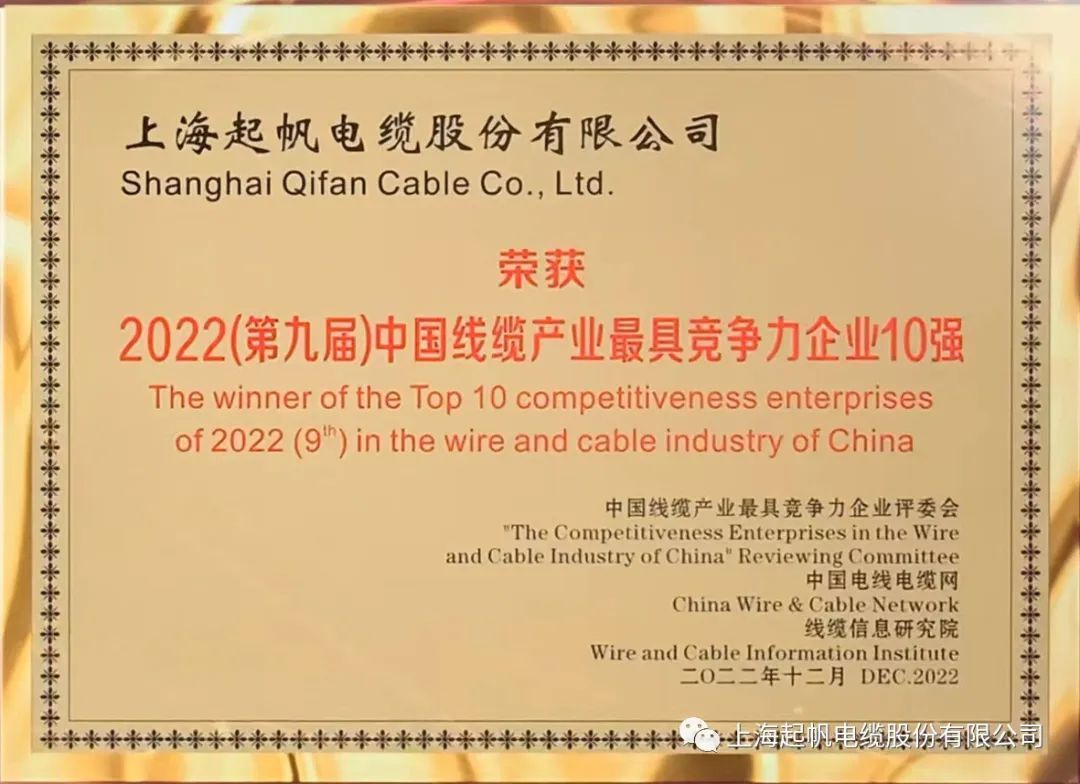 2022年線纜10強企業 2022年線纜10強企業
